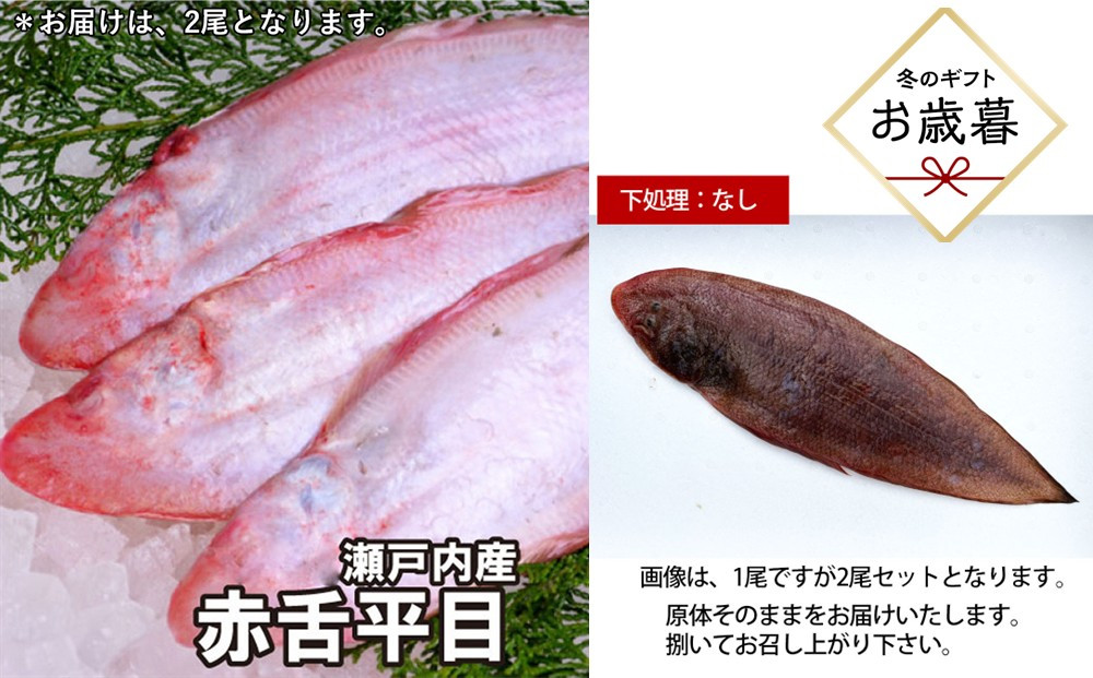 【お歳暮】【下処理なし】赤舌平目&nbsp;2尾（1尾、約250g～300g）れんちょうがれい&nbsp;レンチョウ