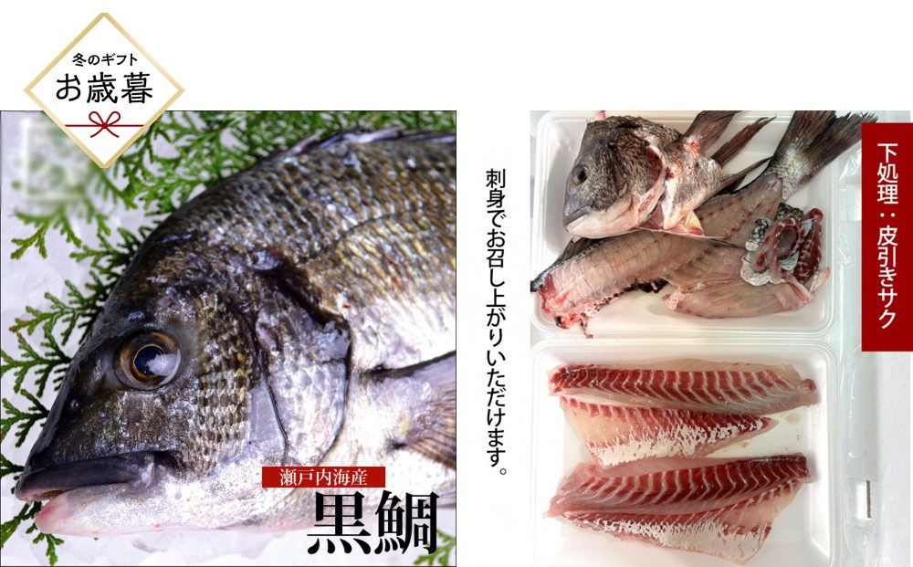 【お歳暮】【三枚おろし全て皮引きサク】黒鯛&nbsp;1尾（約1ｋg）ちぬ&nbsp;チヌ&nbsp;刺身