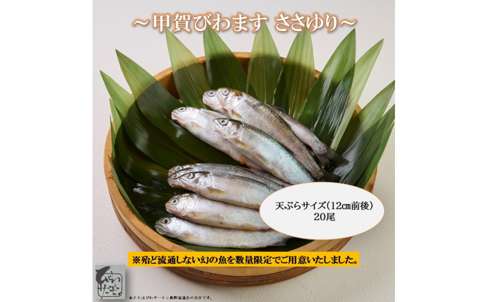 甲賀びわます “ささゆり”　 天ぷらサイズ 5尾入り×4パック