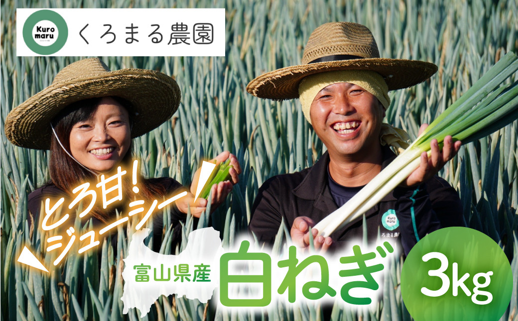 くろまる農園　富山の白ネギ（泥付き）3キロ