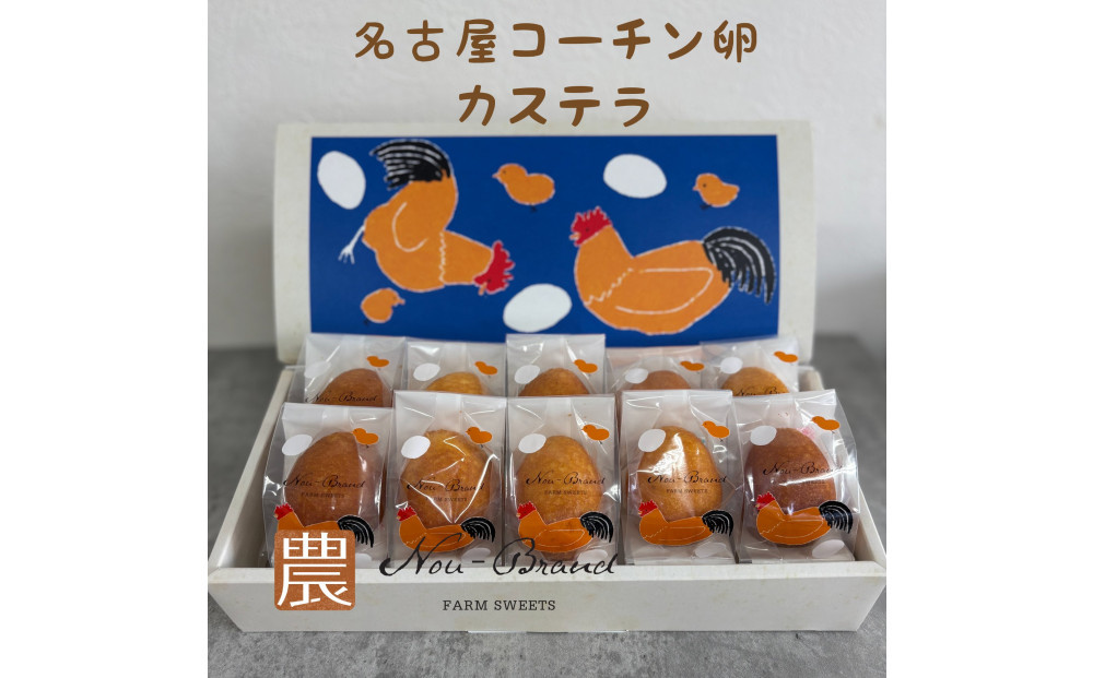 名古屋コーチン卵　カステラ（10個入り）