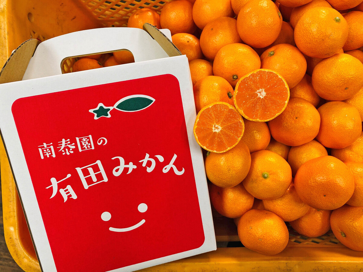 有田みかん&nbsp;小玉ちゃん&nbsp;等級混合&nbsp;2.2kg&nbsp;小玉2S～4Sサイズ混合&nbsp;和歌山&nbsp;南泰園&nbsp;みかん