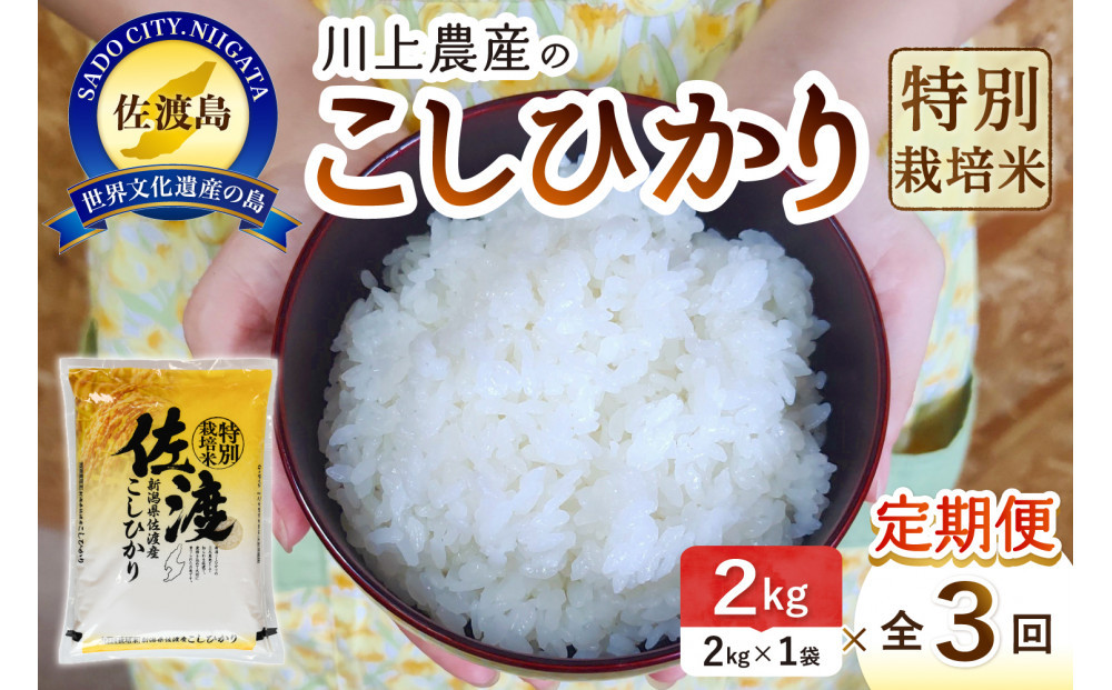 【レビューキャンペーン実施中！】令和7年産&nbsp;佐渡&nbsp;川上農産のコシヒカリ&nbsp;定期便（2kg×全3回）