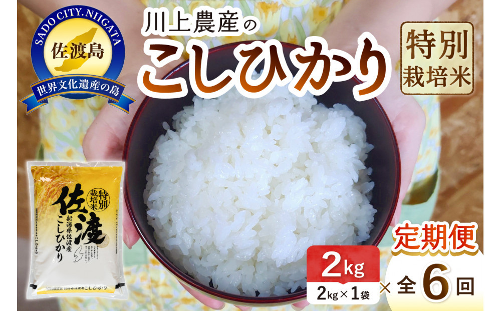 【レビューキャンペーン実施中！】令和7年産&nbsp;佐渡&nbsp;川上農産のコシヒカリ&nbsp;定期便（2kg×全6回）