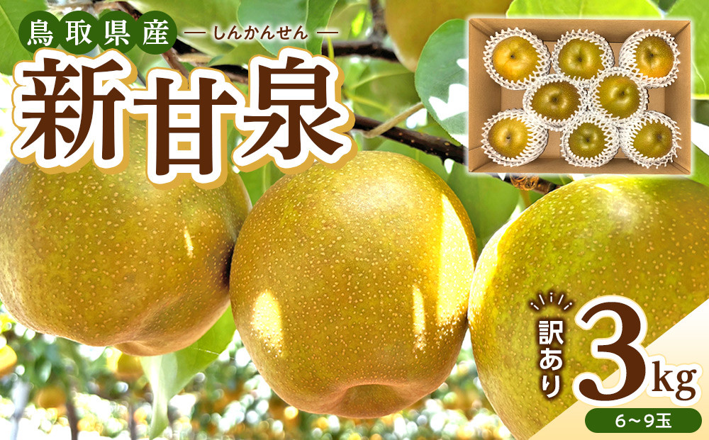 【2026年度発送先行予約】訳あり&nbsp;新甘泉&nbsp;3kg【梨&nbsp;なし&nbsp;しんかんせん&nbsp;5キロ&nbsp;家庭用&nbsp;訳アリ&nbsp;令和8年&nbsp;先行受付&nbsp;新鮮&nbsp;鳥取県産&nbsp;鳥取県&nbsp;北栄町&nbsp;おすすめ&nbsp;人気】