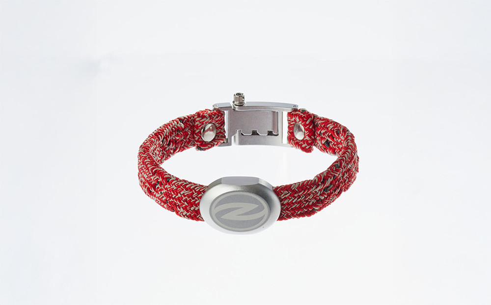 【Sizeオーダーあり】ザオラル・リカバリーαバンド&nbsp;RD/SI｜横浜市&nbsp;高機能バンド&nbsp;ペットアクセサリーをご希望のサイズでオーダーメイド