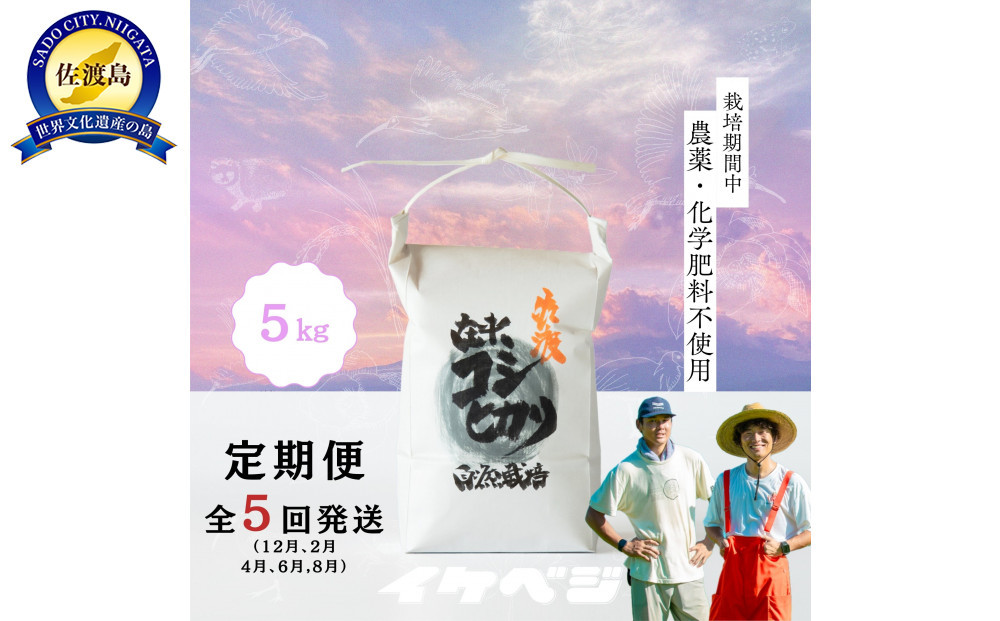 【定期便】新潟県佐渡産&nbsp;令和7年産&nbsp;【在来コシヒカリ】&nbsp;玄米&nbsp;5kg×全5回