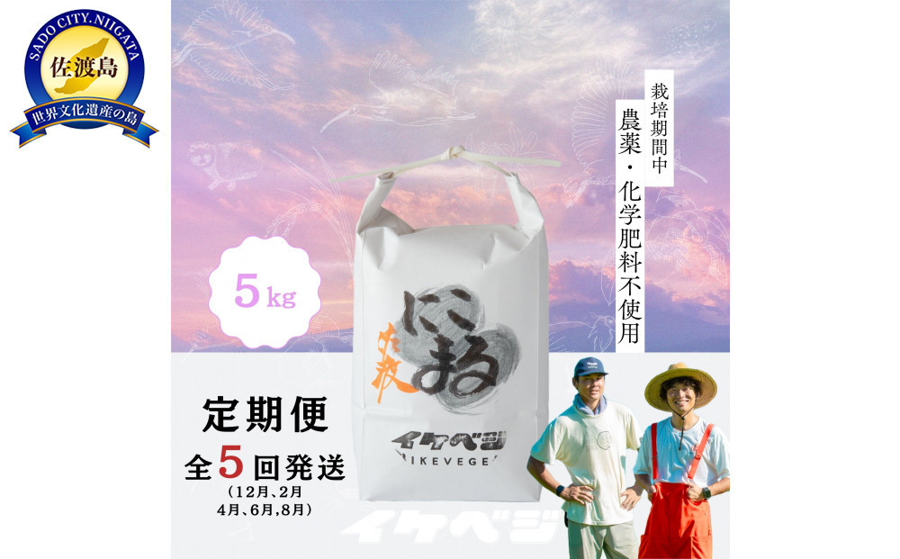 【定期便】新潟県佐渡産&nbsp;令和7年産&nbsp;【にこまる】&nbsp;玄米&nbsp;5kg×全5回