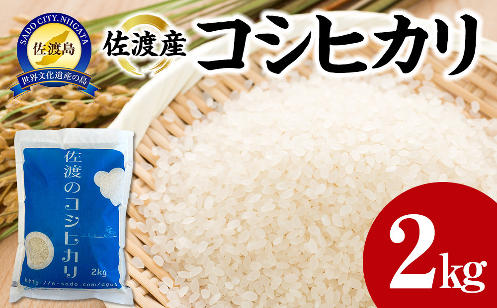 【令和7年産】佐渡産コシヒカリ　2kg