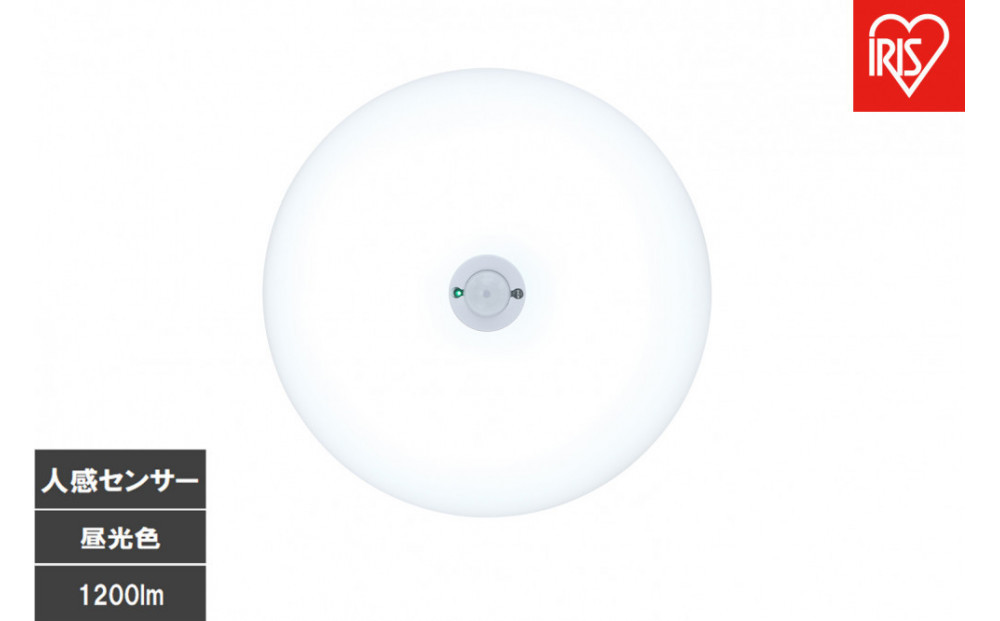 LED小型シーリングライト&nbsp;人感センサー付&nbsp;　昼光色&nbsp;SCL12D-MS-U2