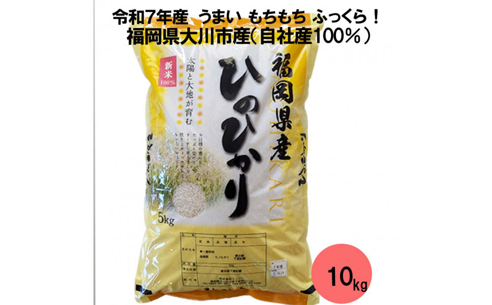 福岡県産米&nbsp;ひのひかり&nbsp;10kg&nbsp;（福岡県&nbsp;大川市産）