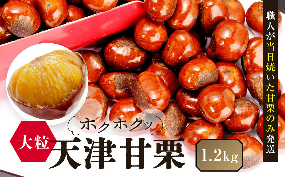 無添加&nbsp;大粒天津甘栗&nbsp;1.2kg&nbsp;【沖縄県・離島配送不可】