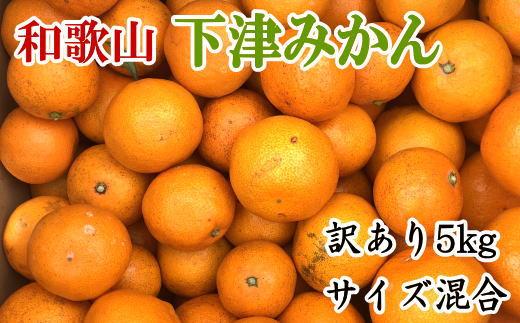 【訳あり】和歌山下津みかん約5kgご家庭用向け(サイズ混合) ★2024年11月中旬頃より順次発送【TM77】