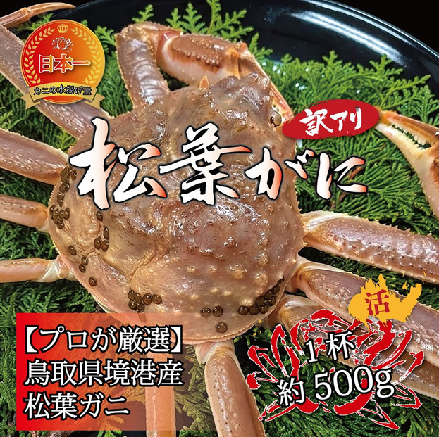 境港産&nbsp;松葉ガニ500g（活冷）訳あり