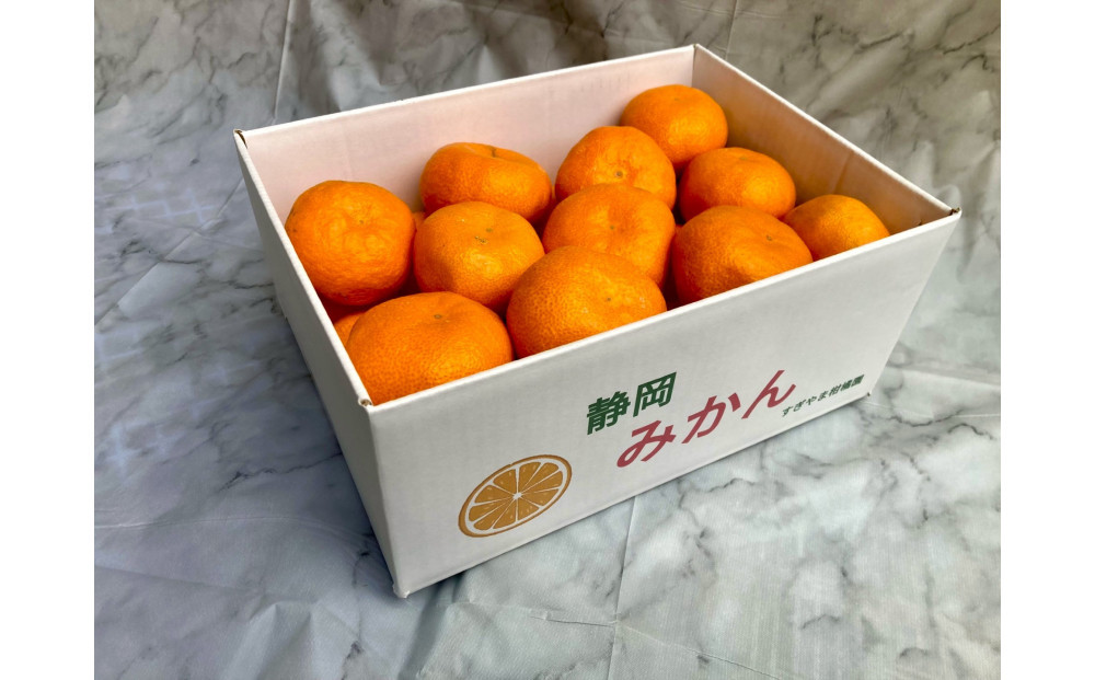 【2025年12月下旬～2月上旬発送】甘い青島みかん2.5kg　静岡県より産地直送◇