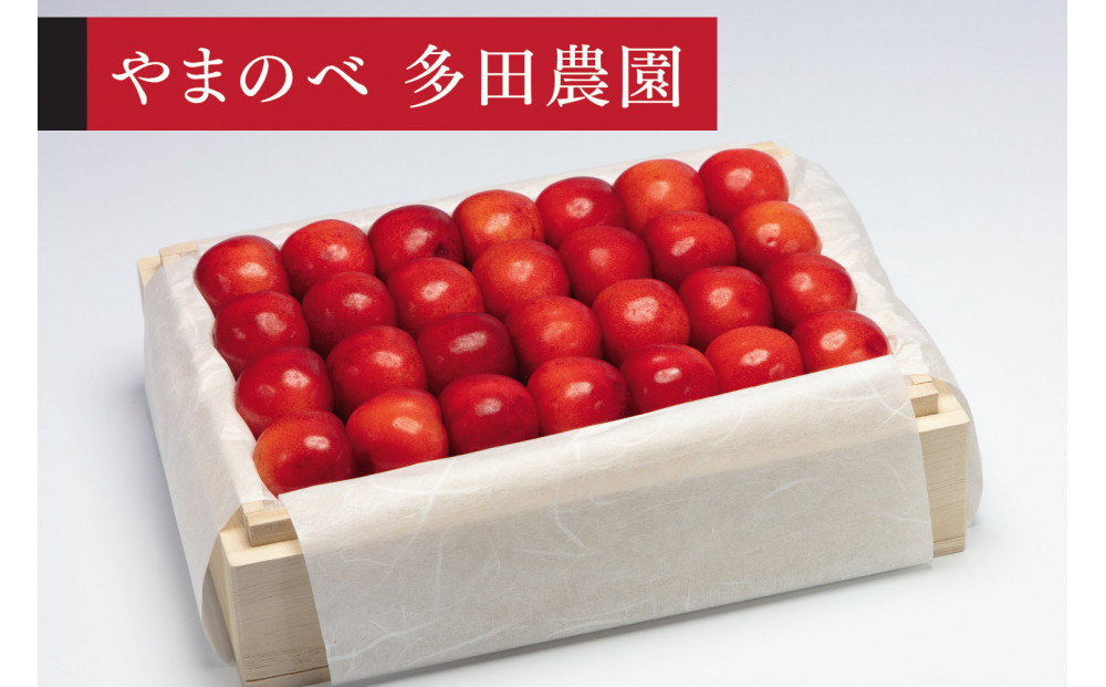 ＜先行予約＞【特選やまがた紅王】桐箱詰&nbsp;約500g【やまのべ多田耕太郎のさくらんぼ&nbsp;多田農園】