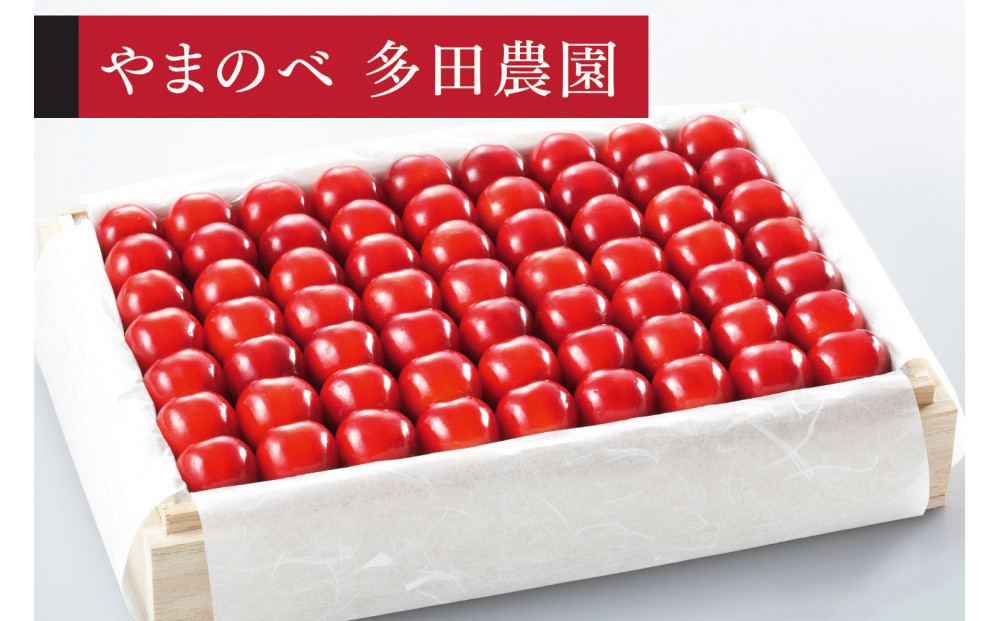 ＜先行予約＞【特選やまがた紅王】桐箱詰&nbsp;約1,100g【やまのべ多田耕太郎のさくらんぼ&nbsp;多田農園】