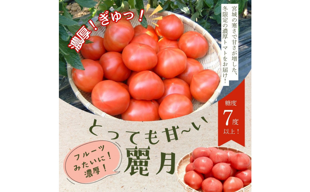 【糖度7度以上！】甘い★麗月トマト4ｋｇ