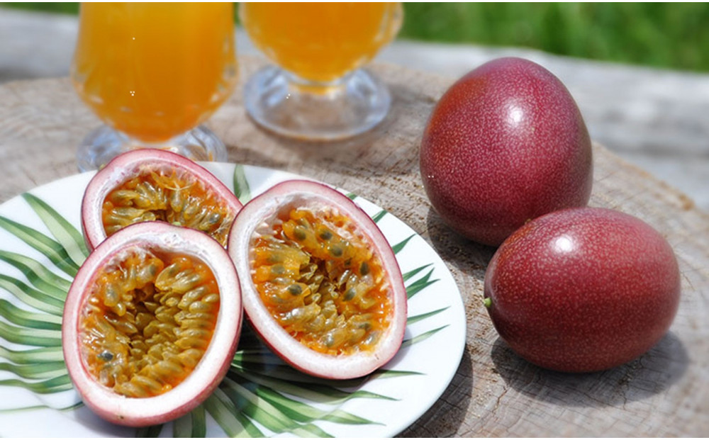 【2026年発送分&nbsp;先行受付】パッションフルーツ&nbsp;化粧箱15個入り(M玉)×２箱【たけはら農園】｜果物&nbsp;パッションフルーツ&nbsp;酸味&nbsp;甘み&nbsp;プチプチ&nbsp;奄美&nbsp;鹿児島&nbsp;美味しい&nbsp;旬&nbsp;南の島