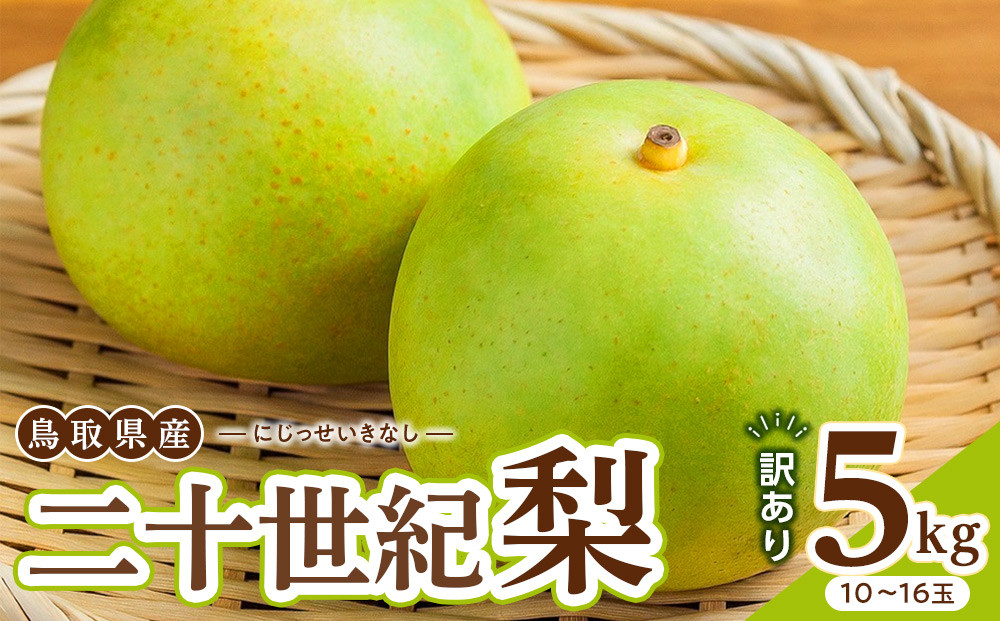 【2026年度発送&nbsp;先行予約】訳あり&nbsp;二十世紀梨&nbsp;5kg【梨&nbsp;なし&nbsp;家庭用&nbsp;訳アリ&nbsp;二十世紀&nbsp;果物&nbsp;フルーツ&nbsp;5キロ&nbsp;新鮮&nbsp;鳥取県&nbsp;北栄町&nbsp;おすすめ&nbsp;人気】