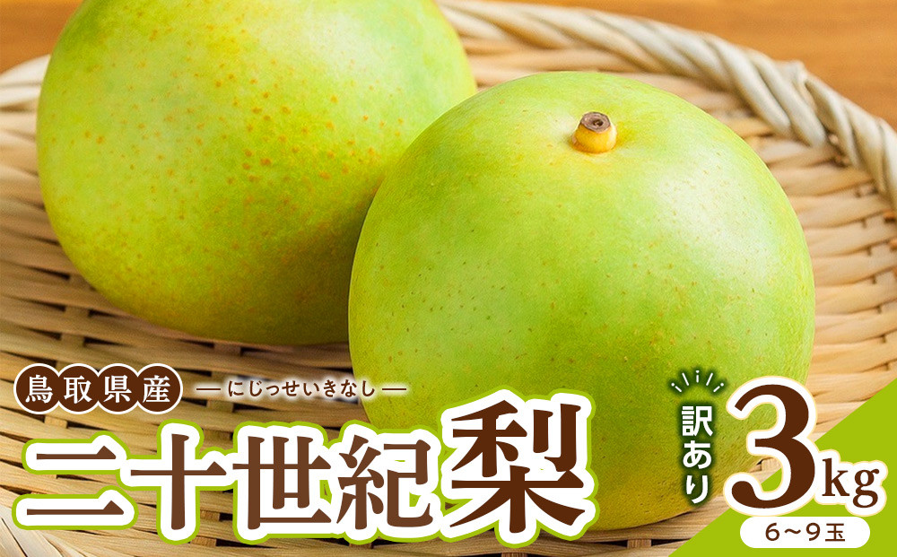 【2026年度発送&nbsp;先行予約】訳あり&nbsp;二十世紀梨&nbsp;3kg【梨&nbsp;なし&nbsp;家庭用&nbsp;訳アリ&nbsp;二十世紀&nbsp;果物&nbsp;フルーツ&nbsp;3キロ&nbsp;新鮮&nbsp;鳥取県&nbsp;北栄町&nbsp;おすすめ&nbsp;人気】