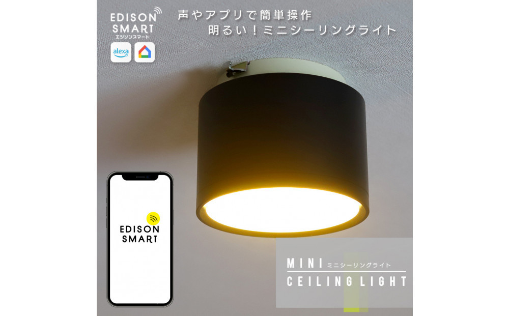 エジソンスマートミニシーリングライト&nbsp;引掛けシーリング用&nbsp;【ブラック】&nbsp;福岡市