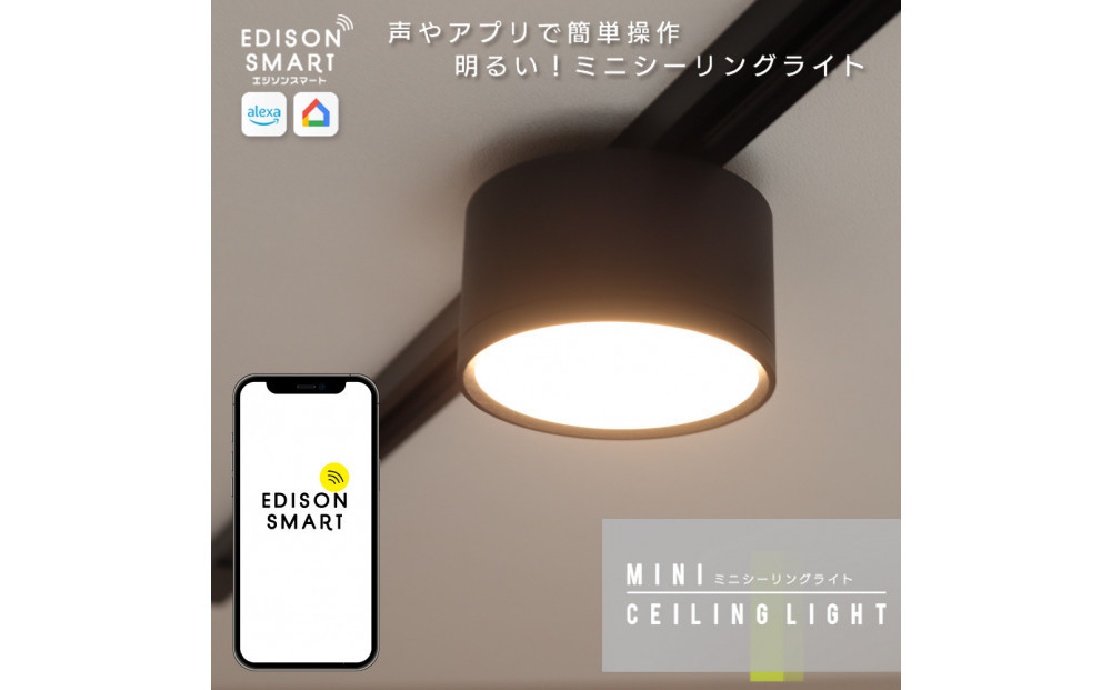 エジソンスマートミニシーリングライト&nbsp;for&nbsp;ダクトレール&nbsp;【ブラック】&nbsp;福岡市