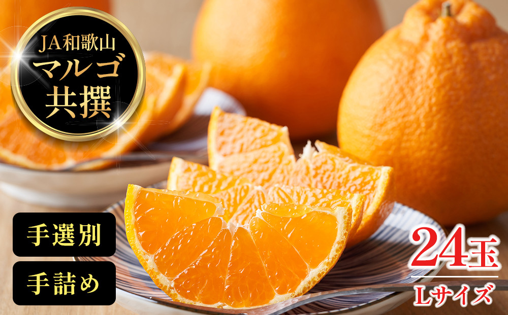 JA和歌山&nbsp;マルゴ共撰&nbsp;デコポン&nbsp;24玉入り&nbsp;Lサイズ&nbsp;5kg箱
