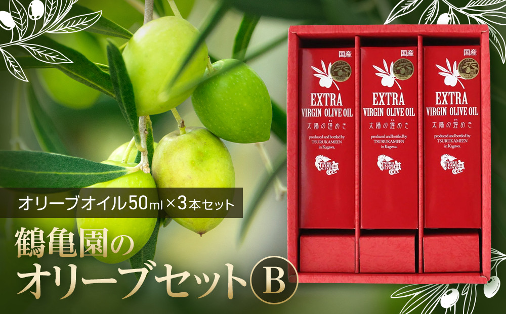 鶴亀園のオリーブセットB