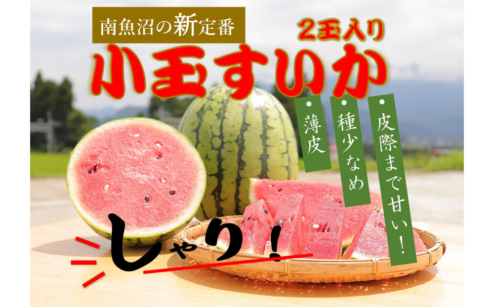 【令和8年/小玉すいか予約】パリ！シャリ！甘～い！2玉入り【食べきりサイズ】【2026年7月中旬より発送予定】
