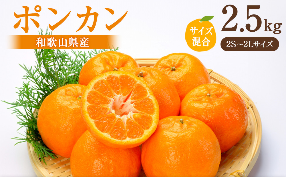 ポンカン&nbsp;約2.5kg&nbsp;サイズ混合［2027年下旬頃より順次発送予定］