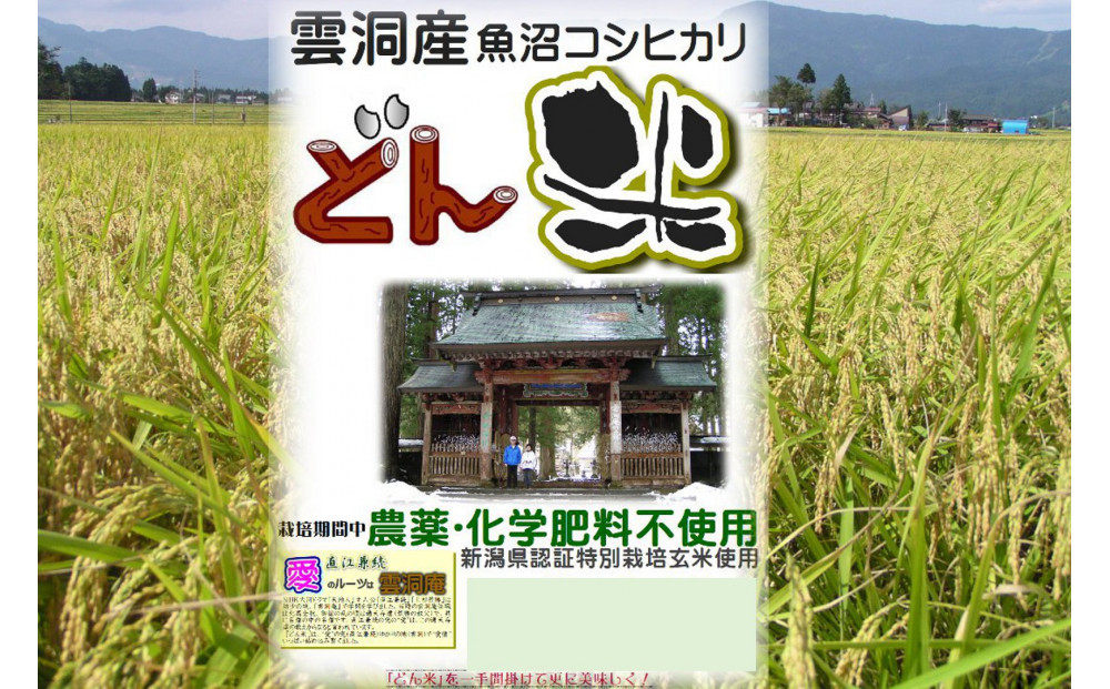 【頒布会】南魚沼産「どん米」白米５升×１０ヶ月　ちょっと！うるさいよ！炊き方