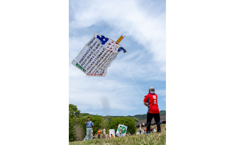 おめでとう！初節句出世凧申込権