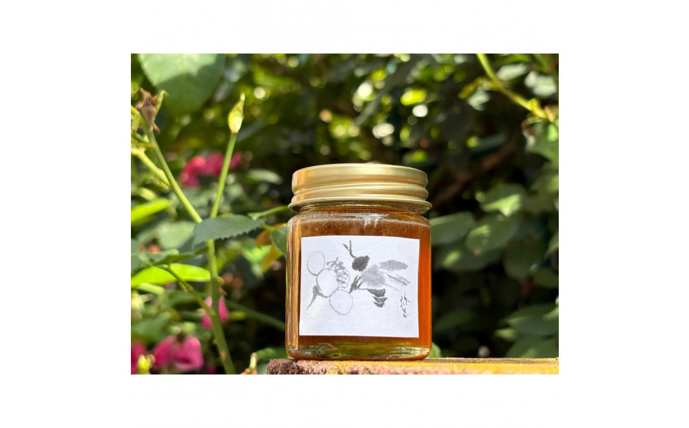 【希少】梅若能楽堂のニホンミツバチのはちみつ