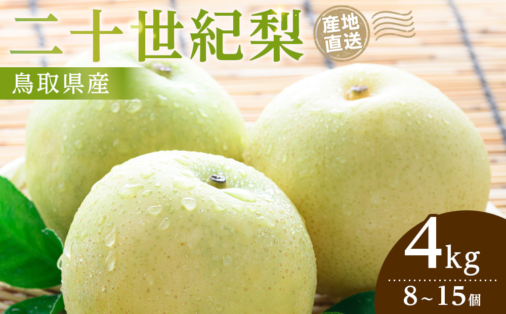 【2026年9月発送】二十世紀梨&nbsp;4kg【先行予約&nbsp;梨&nbsp;なし&nbsp;果物&nbsp;フルーツ&nbsp;4キロ&nbsp;鳥取県産&nbsp;北栄町&nbsp;おすすめ&nbsp;人気】