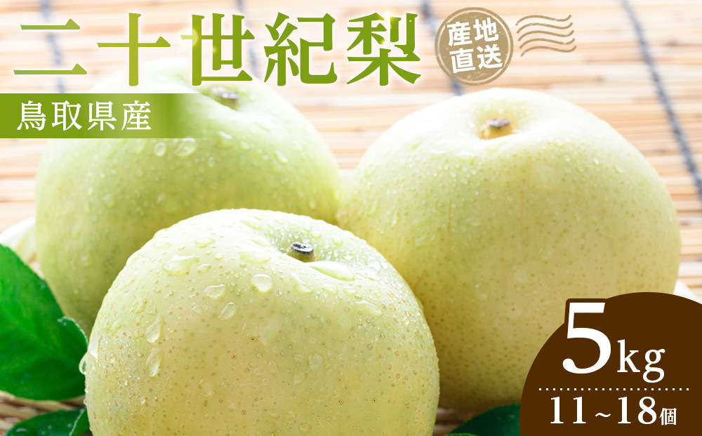 【2026年9月発送】二十世紀梨&nbsp;5kg【先行予約&nbsp;梨&nbsp;なし&nbsp;果物&nbsp;フルーツ&nbsp;5キロ&nbsp;鳥取県産&nbsp;北栄町&nbsp;おすすめ&nbsp;人気】