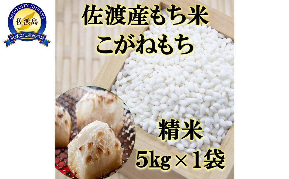 【令和7年産】佐渡産もち米&nbsp;こがねもち&nbsp;精米5kg×1袋