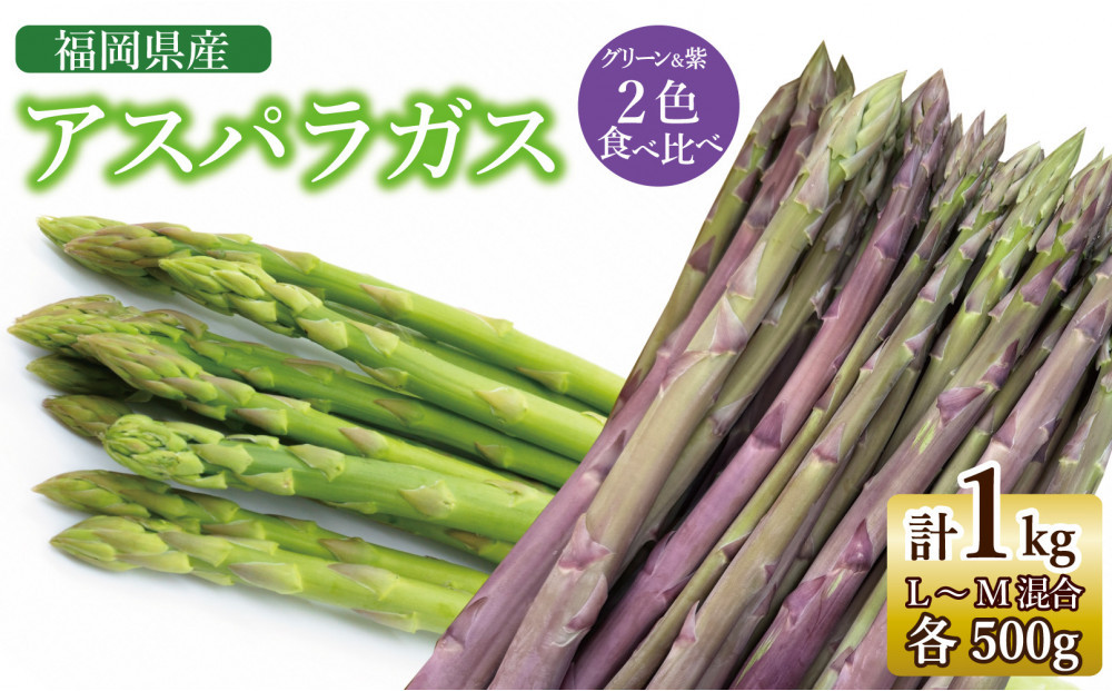 【2026年7月以降出荷】福岡県産アスパラガス&nbsp;夏芽&nbsp;紫・緑セット&nbsp;（L-Mサイズ混合&nbsp;計1kg）