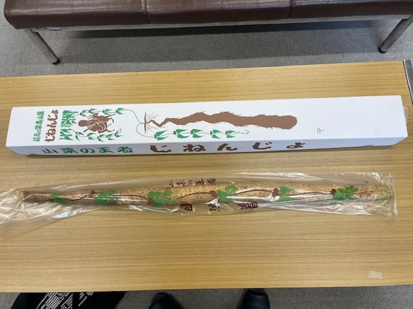 三朝町産&nbsp;自然薯（約1ｋｇ）