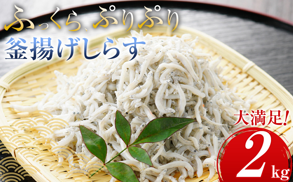 ＼注文数急上昇／釜揚げしらす&nbsp;2kg(500×4パック)&nbsp;しらす職人厳選&nbsp;ふっくら&ぷりぷり