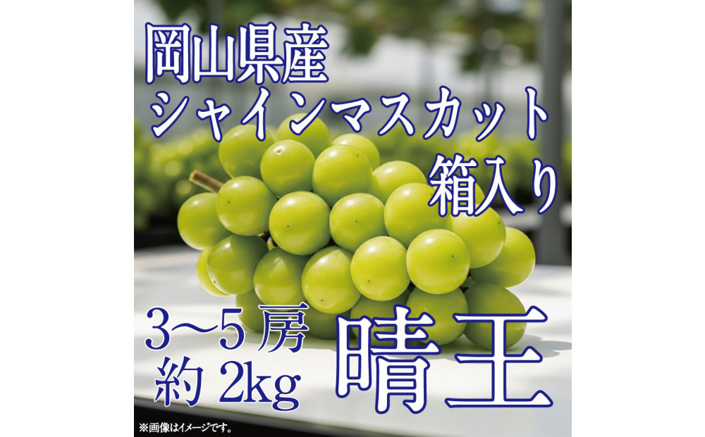 [HS]ぶどう先行予約9月・10月発送シャインマスカット晴王2k箱（3～5房）