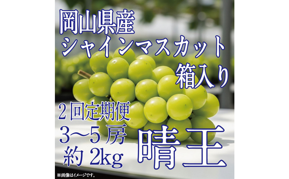 [HS]【定期便全2回】ぶどう先行予約9月・10月発送シャインマスカット晴王2k箱（3～5房）