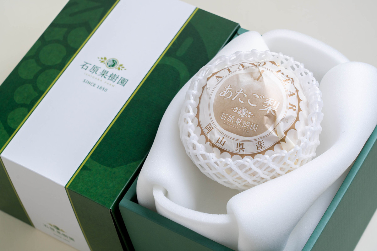 梨&nbsp;2026年&nbsp;&nbsp;あたご梨&nbsp;1玉（約1.1kg）&nbsp;贈答箱赤秀【ナシ&nbsp;なし&nbsp;岡山県産&nbsp;国産&nbsp;フルーツ&nbsp;果物&nbsp;ギフト&nbsp;石原果樹園】
