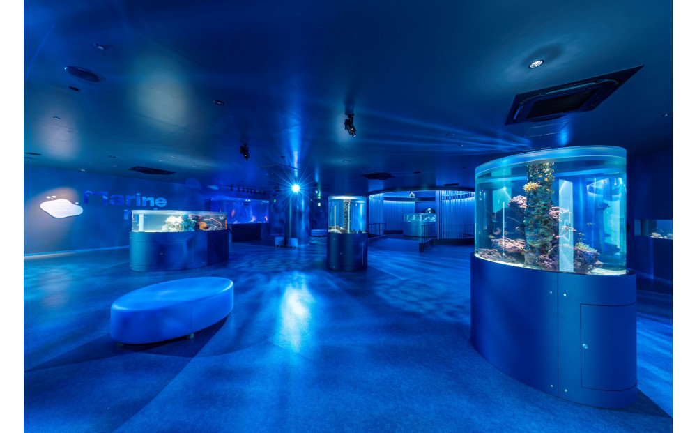 広島もとまち水族館　全館貸切利用権