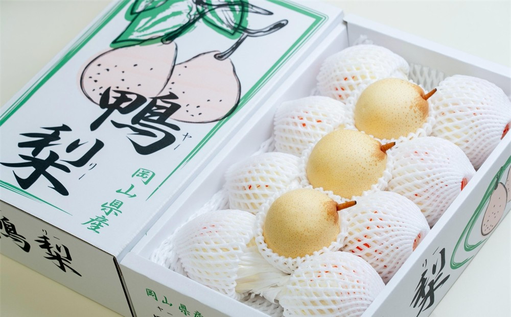 梨&nbsp;2026年&nbsp;&nbsp;家庭用&nbsp;&nbsp;ヤーリ―&nbsp;（6～13玉）約4kg&nbsp;箱青秀&nbsp;【岡山県産&nbsp;フルーツ&nbsp;ギフト&nbsp;石原果樹園】