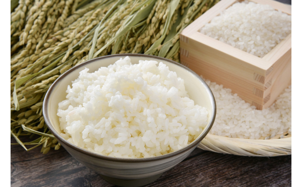 日光ダイヤ舞&nbsp;1年目&nbsp;白米5キロ&nbsp;有機栽培&nbsp;農薬不使用&nbsp;コシヒカリ&nbsp;令和7年度米&nbsp;｜&nbsp;お米&nbsp;有機栽培&nbsp;無農薬&nbsp;コシヒカリ&nbsp;栃木県&nbsp;日光市