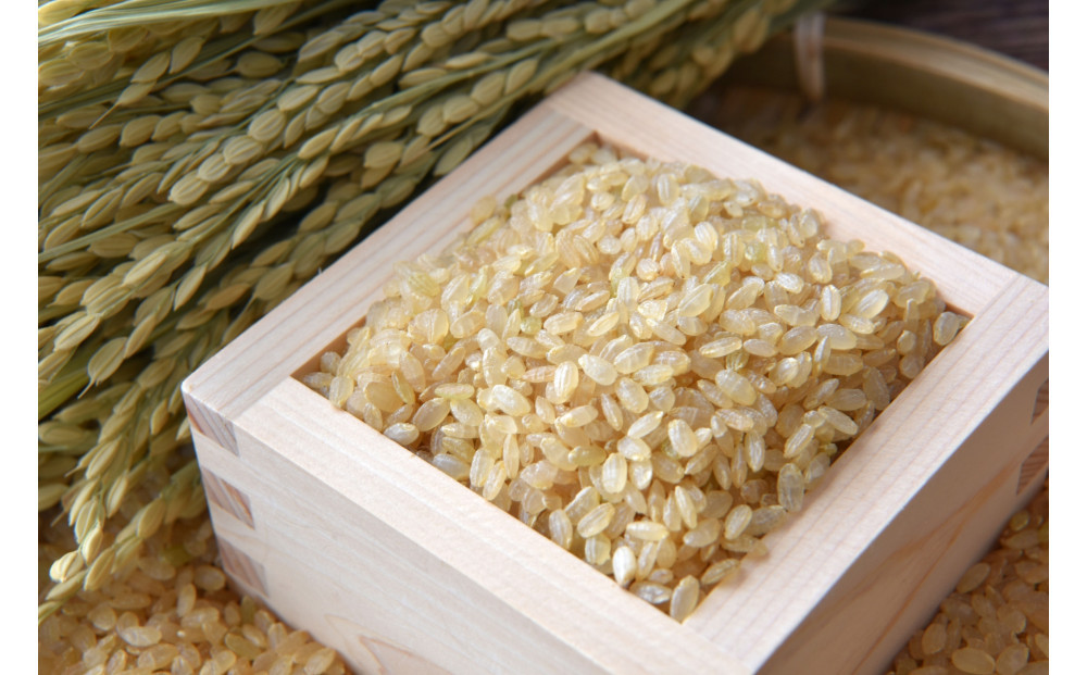 日光ダイヤ舞&nbsp;1年目&nbsp;玄米5キロ&nbsp;有機栽培&nbsp;農薬不使用&nbsp;こしひかり&nbsp;令和7年度米&nbsp;&nbsp;｜&nbsp;お米&nbsp;有機栽培&nbsp;無農薬&nbsp;コシヒカリ&nbsp;栃木県&nbsp;日光市