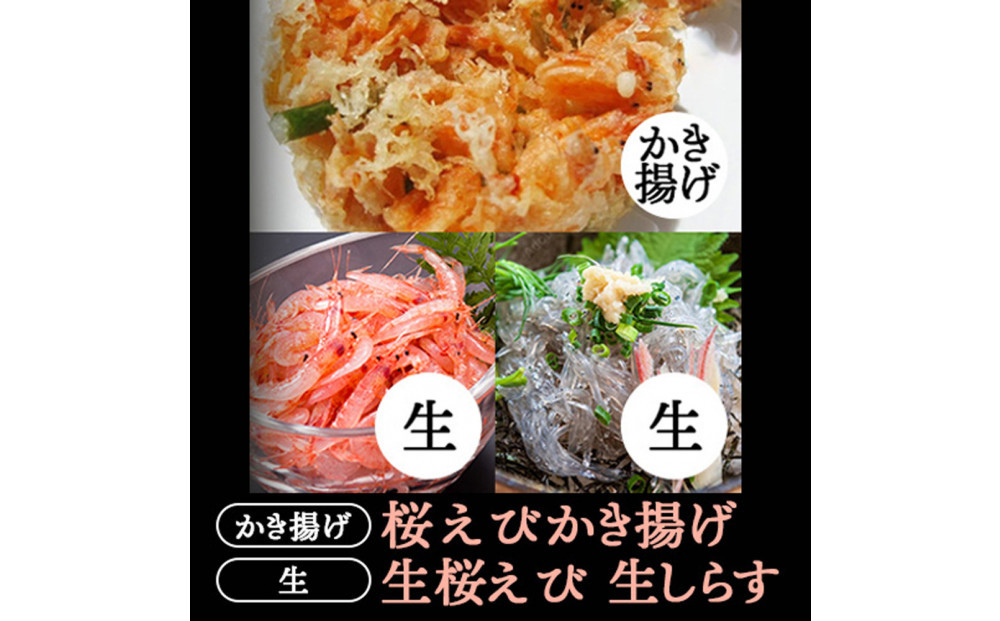 生桜えび、生しらす、桜えびかき揚げセット【配送不可：離島】