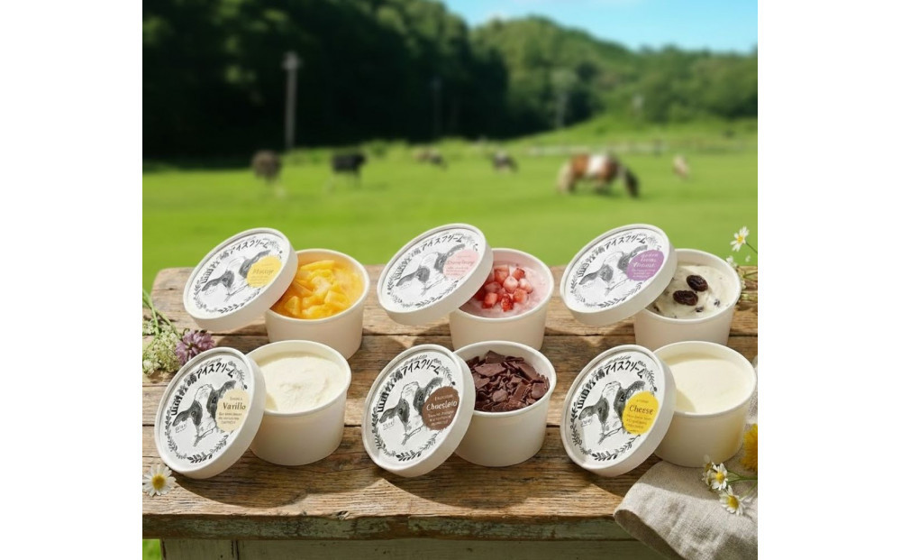 山田牧場&nbsp;アイスクリーム&nbsp;12コ入り