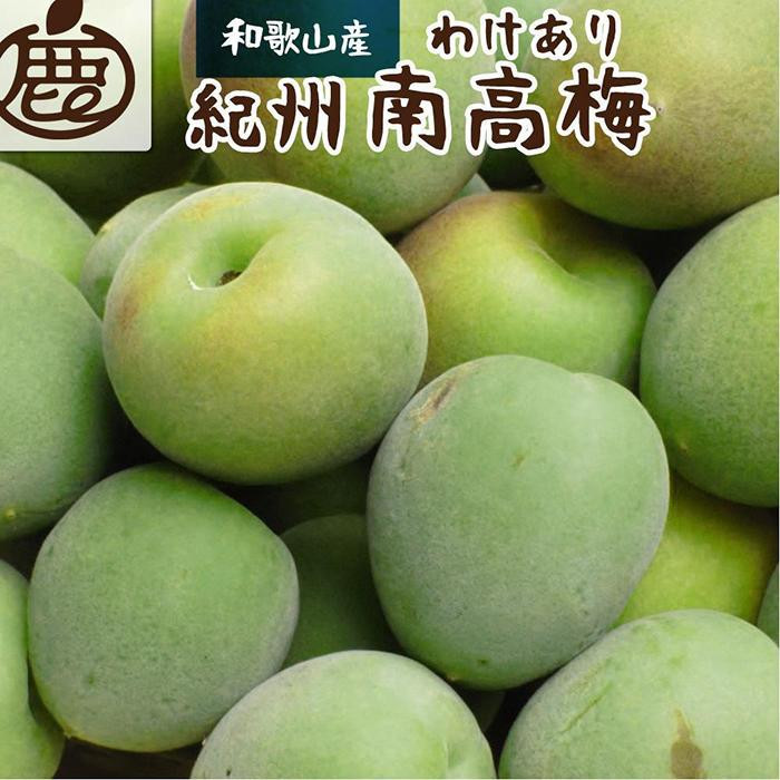 家庭用&nbsp;紀州南高梅(青梅)1kg+250g（傷み補償分）【梅干し・梅酒・梅ジュース】【訳あり】［IKE315］